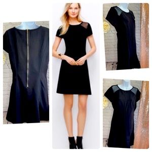 10P - NWOT Ann Taylor Petite Sheer Panel Flare Dress - Style #365798 - Black
